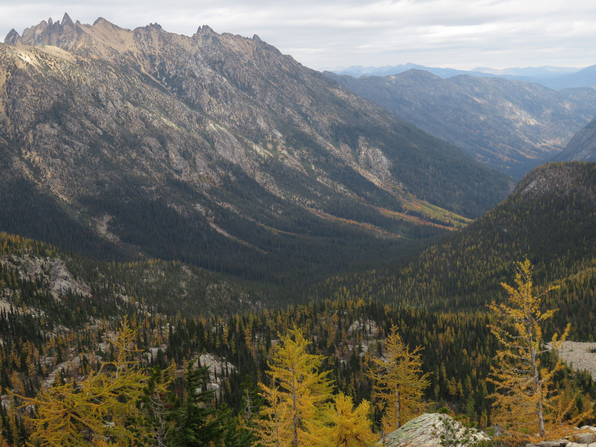 A mountain valley in the autumn with yellow larches in the foreground.